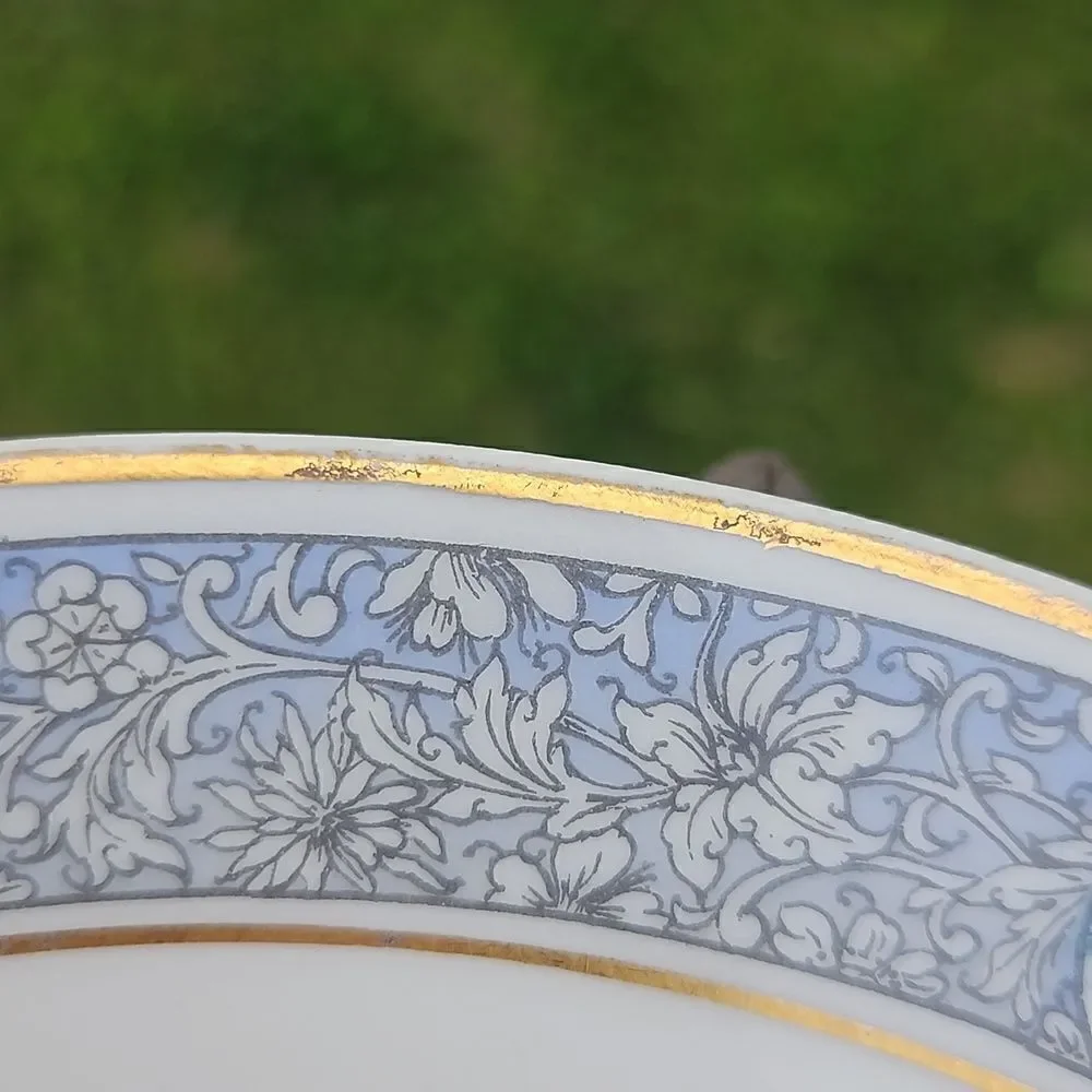 Theodore Haviland Limoges Rani salad plate